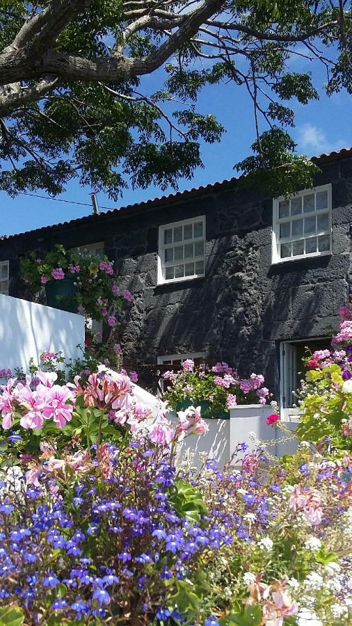 Affittacamere Casa do Zé - AL Manadas Esterno foto